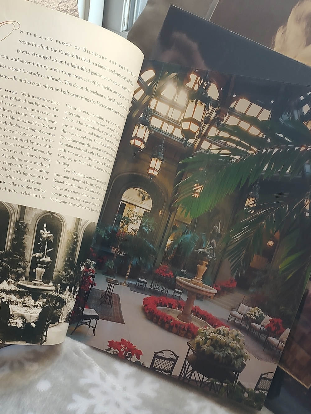 Biltmore Estate 📚 - Picture 9 of 10